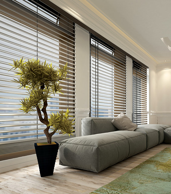 venetian blinds